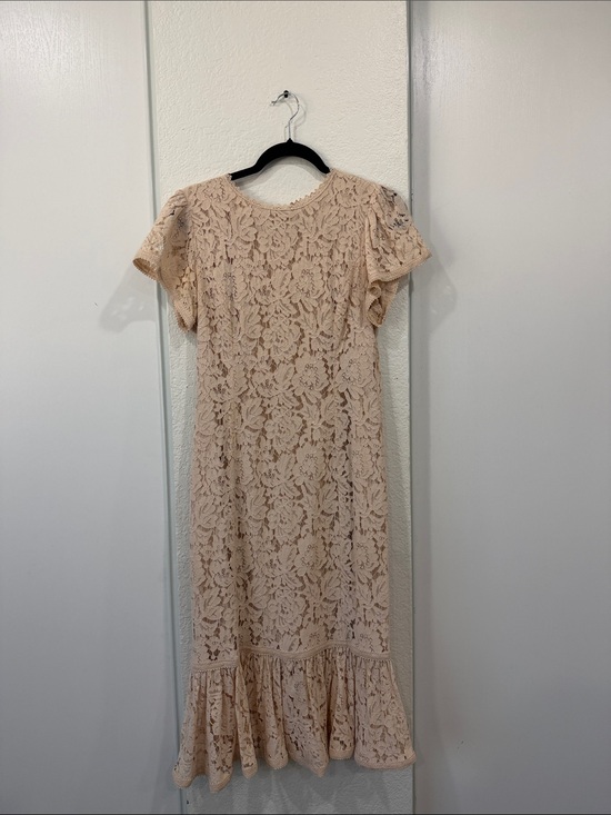 Rachel Parcell Dresses & Skirts - Rachel Parcell Blush Lace Midi Dress with Ruffle Hem